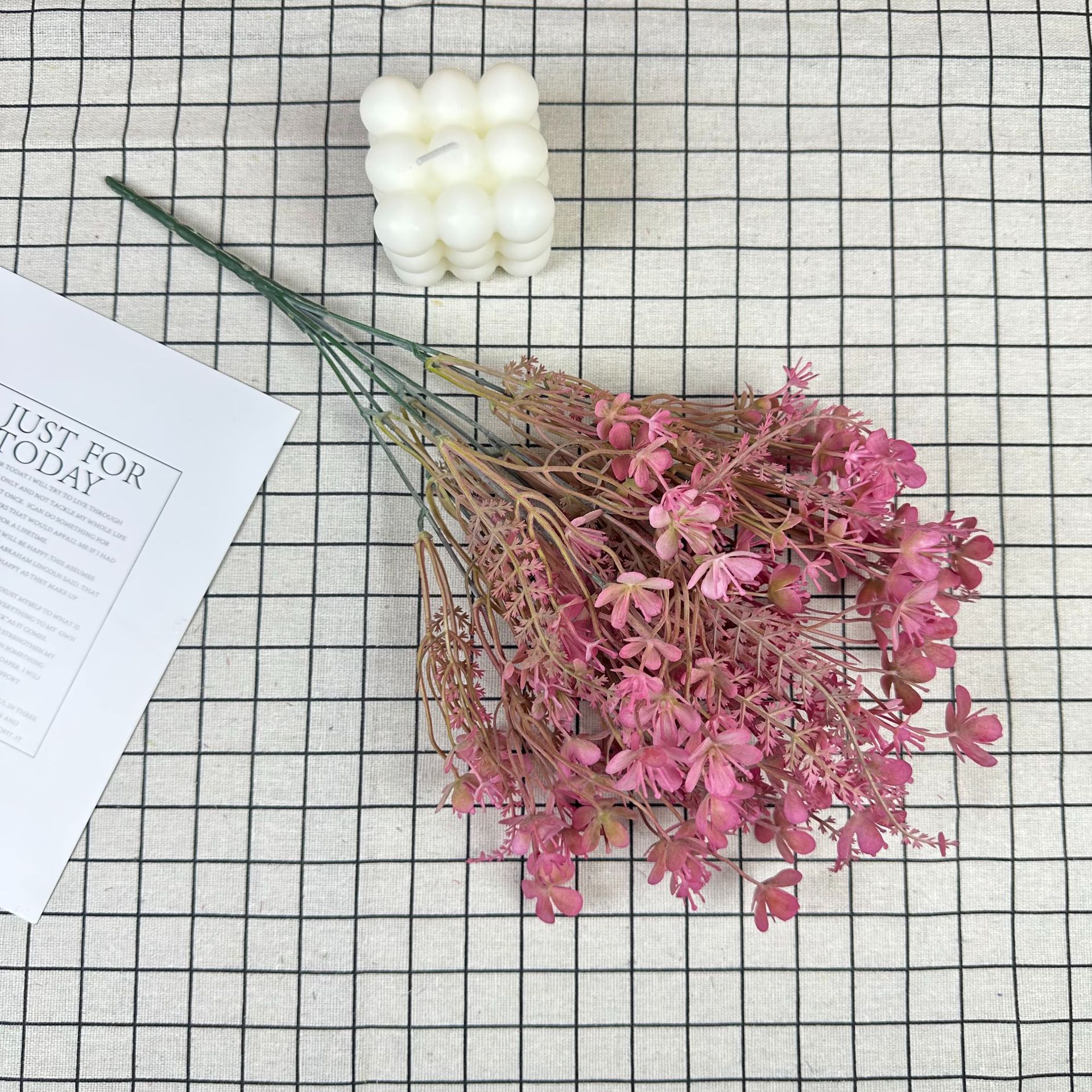 녹색 식물 다섯잎 클로버 라즈베리 색상의 시뮬레이션 묶음