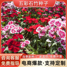 ʯNӳʯʯ׷Nֲ޸N^̨^