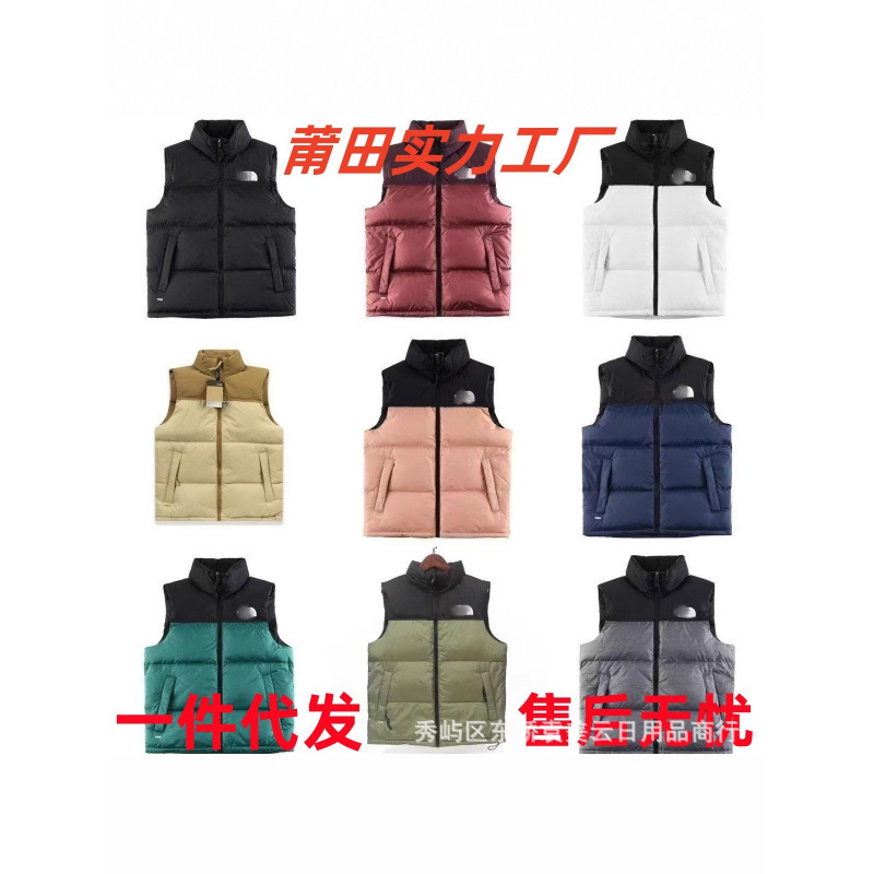 Putian High Version Beijia 1996 down Jacket Vest Men and Women Same Style American Version Autumn and Winter Tnf700 Fluffy Embroider