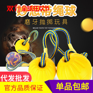 ���K����ߎ��K���������� Ӗ����Ȥ������Ʒpet training ball