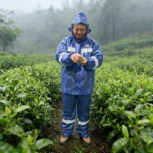 raincoat�羳�ɲ����¼Ӻ��������������ʽ�е綯Ħ�г�������װ