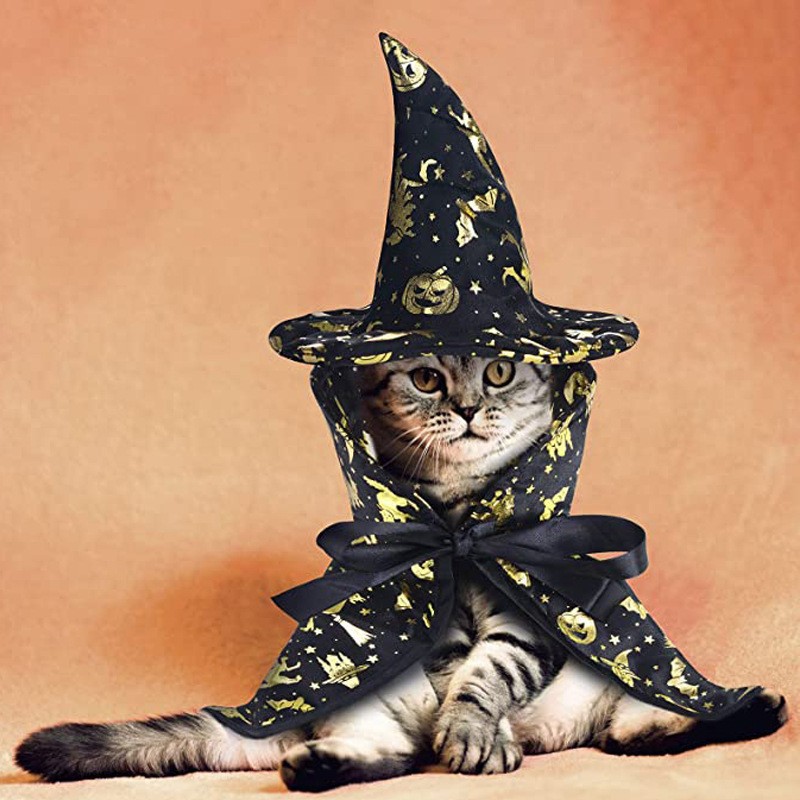 Halloween Print Wizard Cloak
