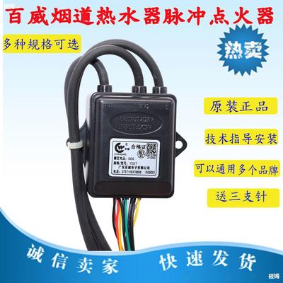 quality goods Budweiser Changwei currency Gas water heater pulse Igniter Flue 3V Pulse ignition parts