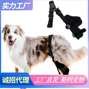 �¿���o����͸�ⲻ�����{�������P�����o�g�������ڑ������