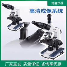 ϺȆĿpĿĿ@΢R 1600^