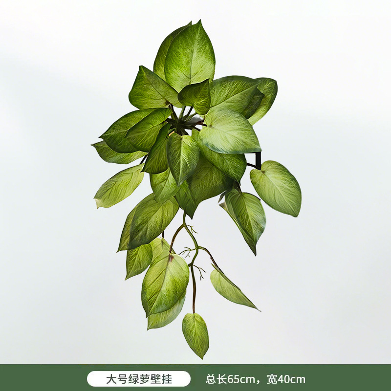 Gran rábano verde colgante de pared