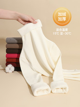 2025¿ŮﶬȴɫLtĥëӽqӺٴI