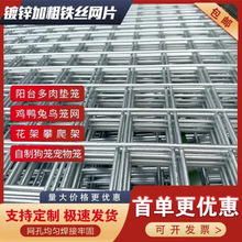 定制镀锌铁丝网片围栏小孔加粗养殖网狗笼养殖建筑钢筋长孔网格网