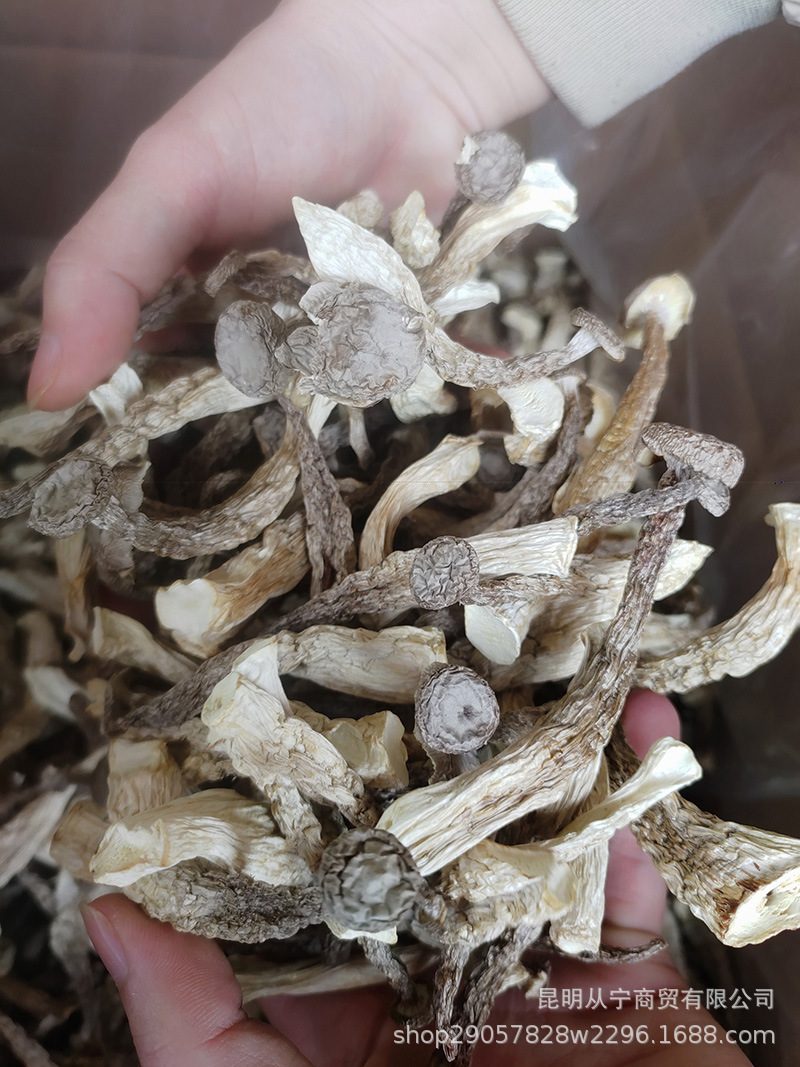 Dried Deer Antler Mushroom 500g Premium Edible Fungus for Soup and Stir Fry in use