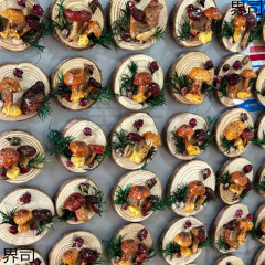 云南真蘑菇冰箱贴菌子真植物果实木头标本装饰手工创意工艺品