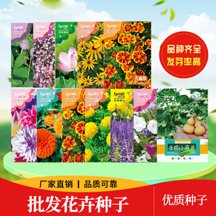 �������l���N���ܷN�Ӳʴ����b���N�ѽM�ϷN������ͥԺ�ļ����N