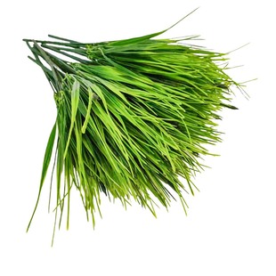Моделирование 28 травяная фальшивая трава зеленое растение