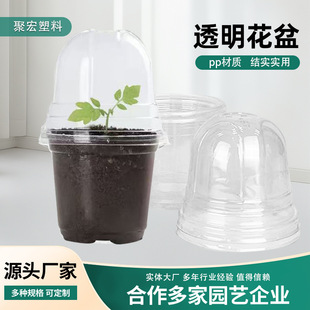 ���R�d͸���I�B��Ӻ��w����������m���Nֲ�莧���m�ֈA�λ���