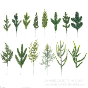 �羳�����~�����diy �}�Q���}�Q�仨�h����bzӰ����һ�����l