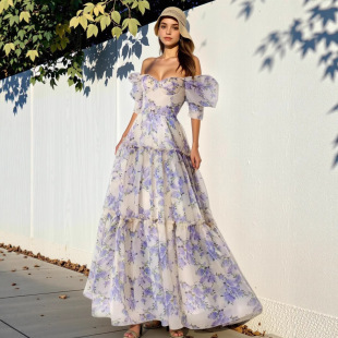 Romantic dress��ʽ�͹���Ů��[�B��ȹ���ښW����Ĩ���㱳���Y��