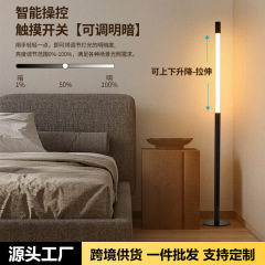 跨境自动升降落地灯新款轻奢高级感客厅沙发旁卧室立式氛围感台灯