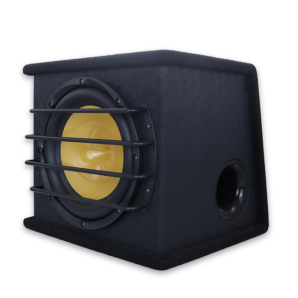 Manufacturer Supplies Car Audio 10inch Active Subwoofer with Amplifier Super Power Subwoofer Hs-1003