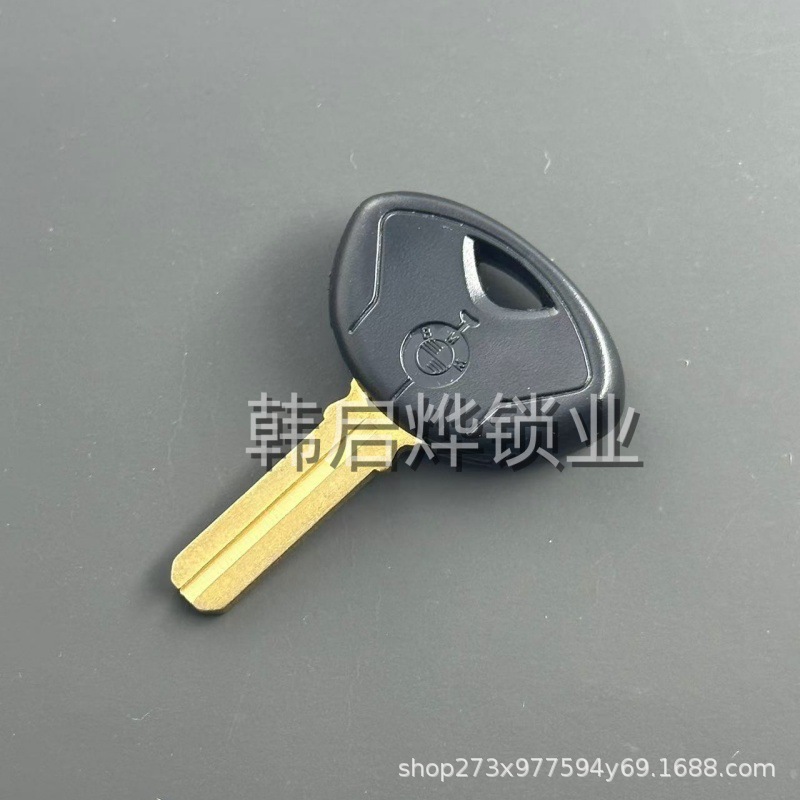 Suitable for Bmw K1200K1300S1000Rrrhp4 Motorcycle Key Replacement with Chip Installation Possible