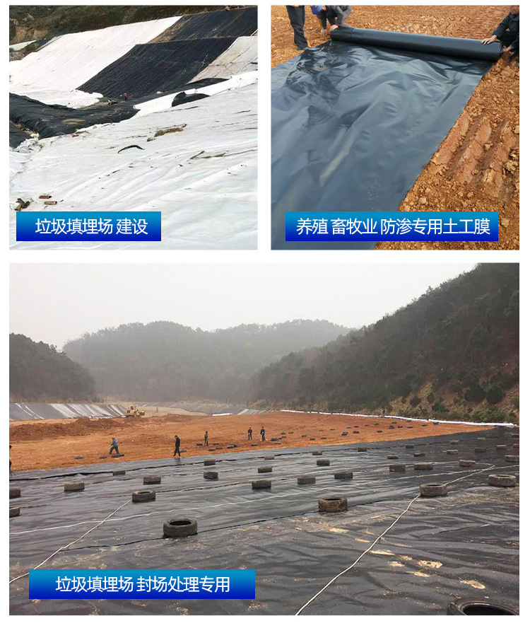 土工膜_11.jpg