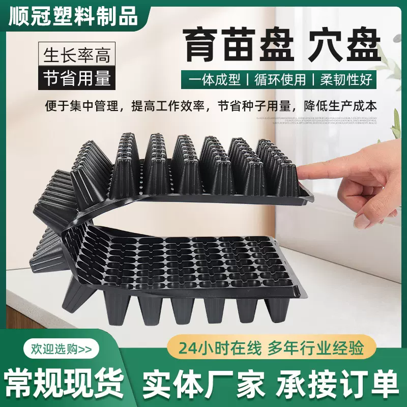 穴盘育苗盘苗木多肉花卉蔬菜草莓PET扦插塑料加厚加深育秧盘