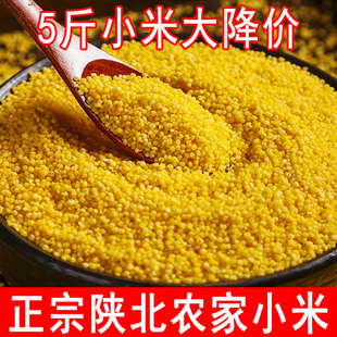 ����SС��2025���r��ꄱ���֬��С���SС�׌����������������s�Z