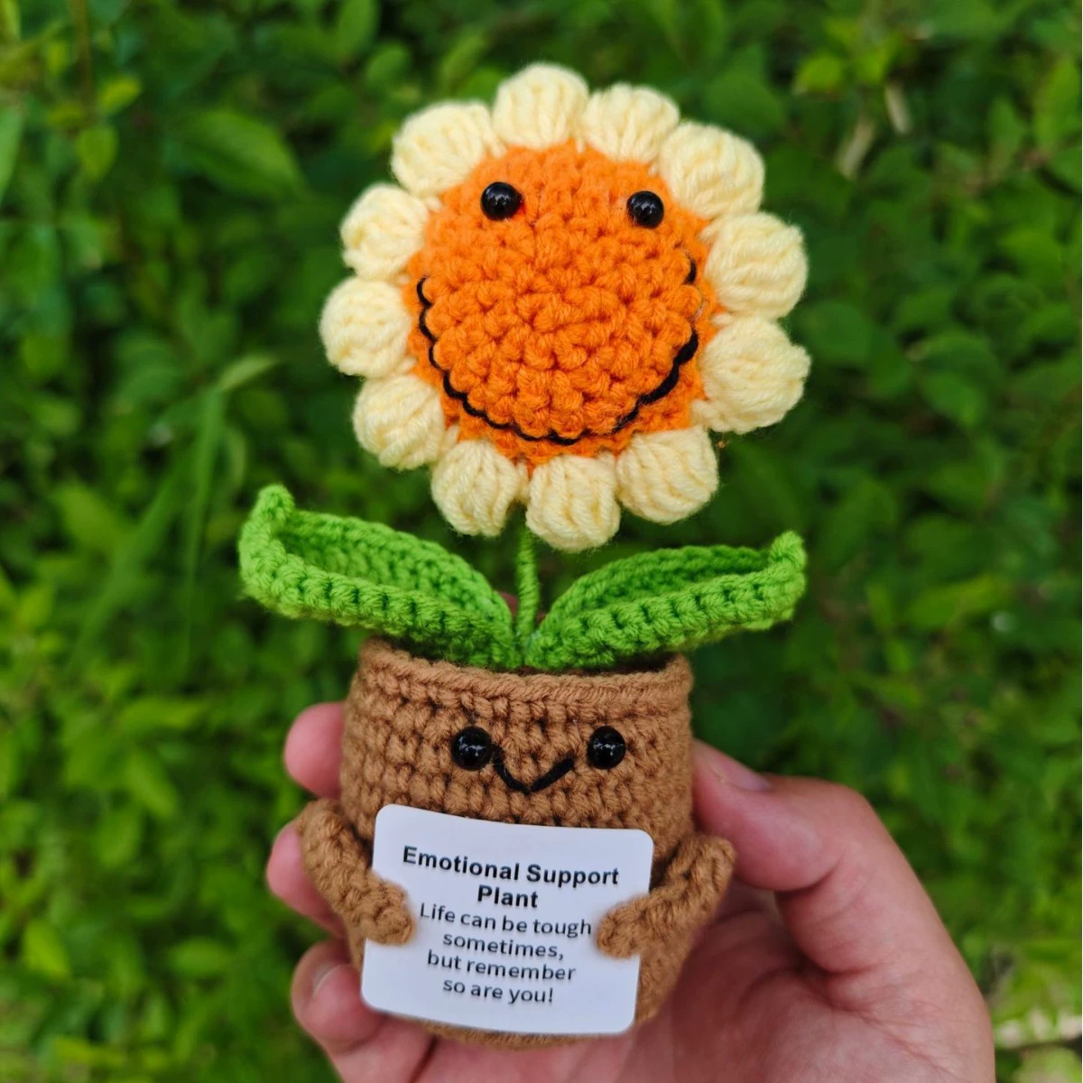 Трансграничные новые любовные горшечные растения Высшей лиги ручной работы