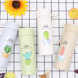 Creative Cartoon Succulent Insulated Water Cup, Printed Logo, Small Gift, Glass Water Cup, Fashionable Business Cup