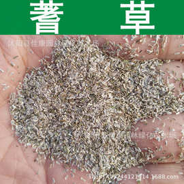 草花种子 蓍草种子 锯草花 蓍草花种子 花卉植物 1件=1斤