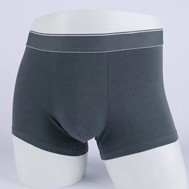 女士三角裤;女士丁字裤;男士平角裤