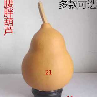 ���δ���С���J�ֶն��ӱ�����10-13cm�[������һ��һ�D�Ӯ�����