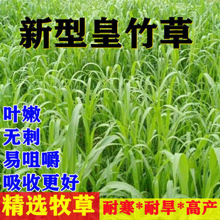 ���ͻ���ݷN���ϱ����ļ��������߮a�����iţ���u���Z�~�òݷN��