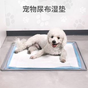 Amazon Silicone Pet Diaphragm Pad Washable Reusable Training Pad Pet Diaphragm Pad Fixed Diaper Pad