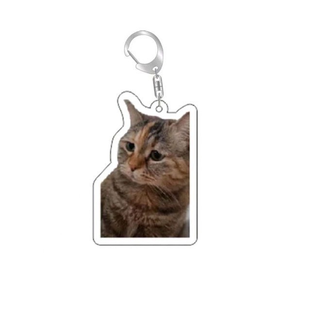Colgar adornos Amazon popularidad en línea gatos gatos acrílicos llaveros escultura de arena interesante memes gatos gatos pequeños