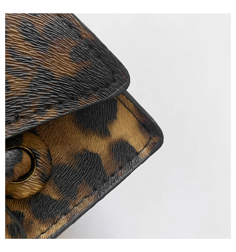 Small niche leopard print design 2024 new handheld casual western-style personalized crossbody small square bag_voghion.com
