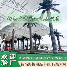 越南广宁省云屯县项目仿真海枣树椰子树市政工程案例大型仿真假树