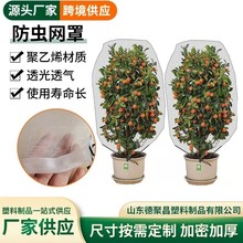 跨境热销 植物束口防虫网袋 果树防虫防鸟网罩 植物防虫防苍蝇罩