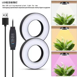 植物生长灯;阅读台灯;手机支架