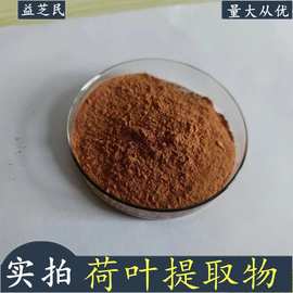 荷叶提取物  荷叶碱 荷叶黄酮 药食同原料 益芝民现货 水溶荷叶粉