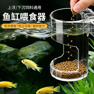 �~��ιʳ�ܽ��~�rС��Ͷʳ�܁�����С�~�����³����hɢ�~ʳιʳ��