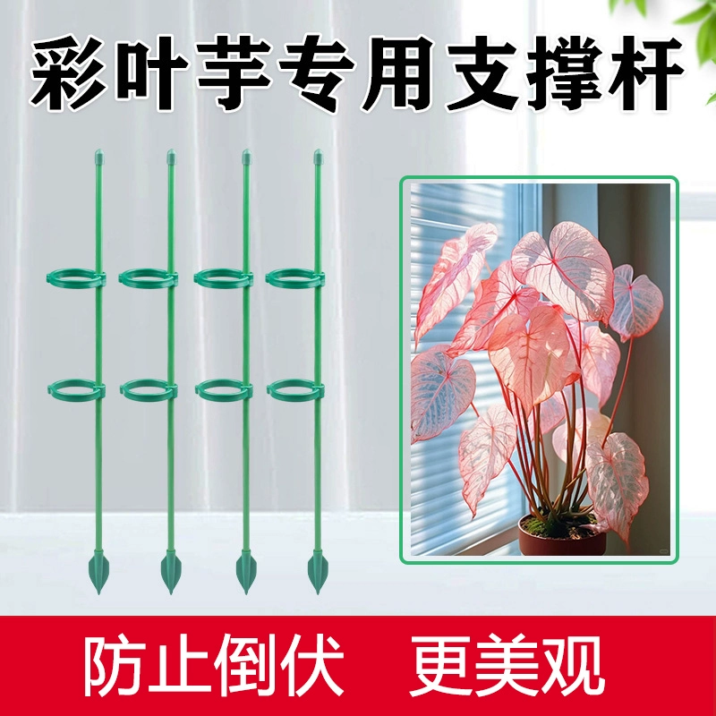 Растительная опора столб цветочный рама цветной листвы таро стойка к полеганию кронштейн садоводства подвесной орхидея роза томатная полка зеленая посадка виноградная полка