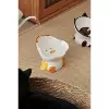 Rainbow Duck