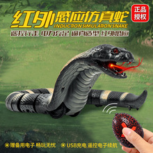 仿真遥控蛇恐龙爬行动物吓人昆虫整蛊恶搞解压电动益智男孩玩具