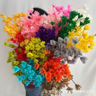 �羳�ɻ��˽ǻ����������l��ˇ�Ĕz���߻����b�c�廨diy���