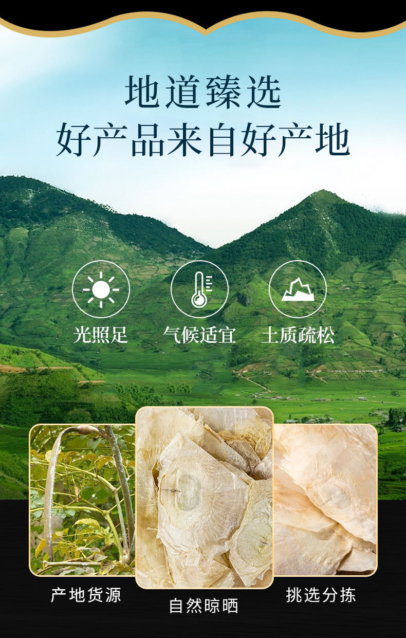Mu Hu Die (Oroxylum indicum) — Dried Indian Trumpet Flower Seeds, Traditional Herbal Tea Ingredient overview
