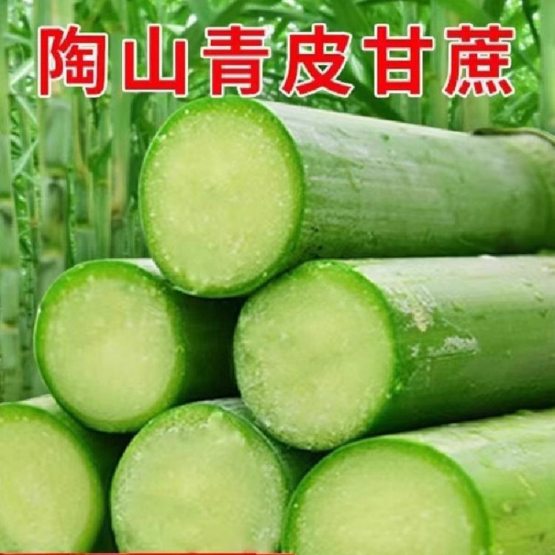 Taoshan Sugarcane Zhejiang Wenzhou Green Peel Fruit Sugarcane Fresh Green Peel Fruit Sugarcane 5 Jin