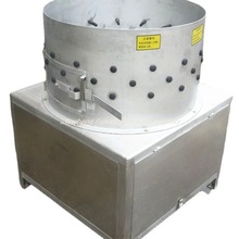 大圆筒鸡鹌鹑肉鸽脱毛机 不锈钢鸡胗打油机鸡爪皮去皮机