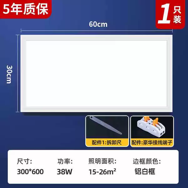 30×60cm, 38W