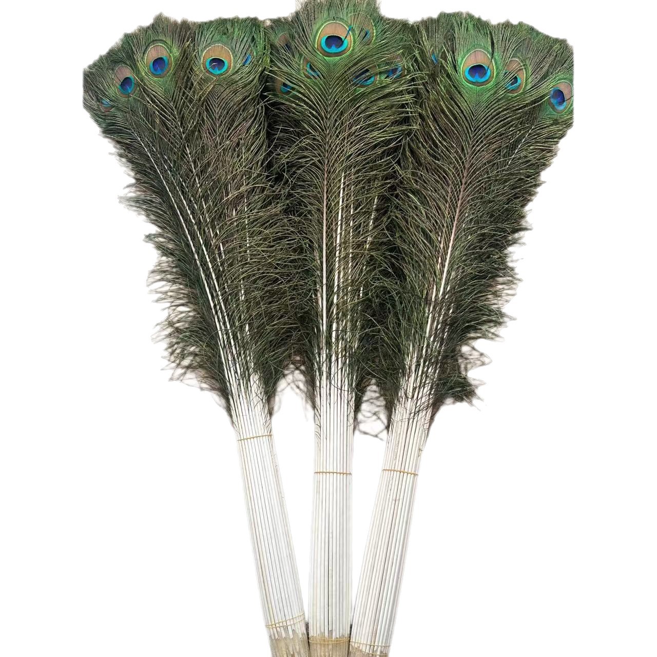 Fabricante suministro de 25 - 130cm plumas reales plumas al por mayor vasijas floral decoración de escenario plumas de pavo real