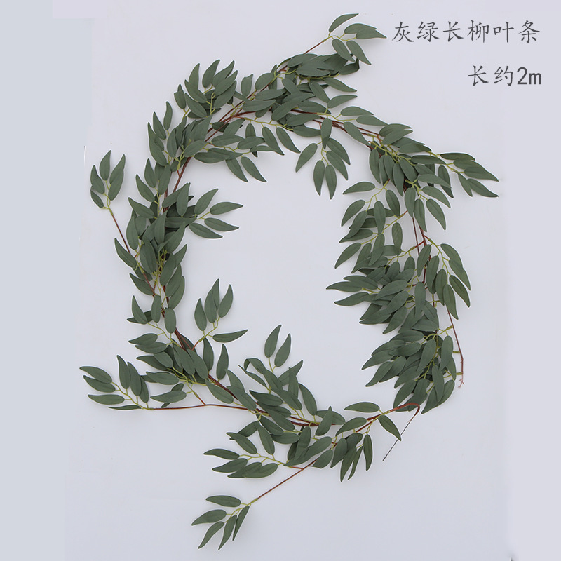 Tira larga verde gris de la hoja del sauce_2