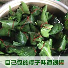 大芦苇叶5厘米以上新鲜粽叶柴叶现摘野生粽子叶200片装
